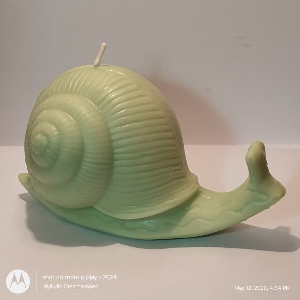 Snail Candle Test